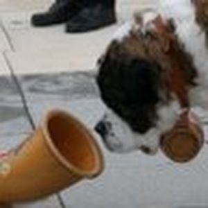 Meet your Posher, Meghan